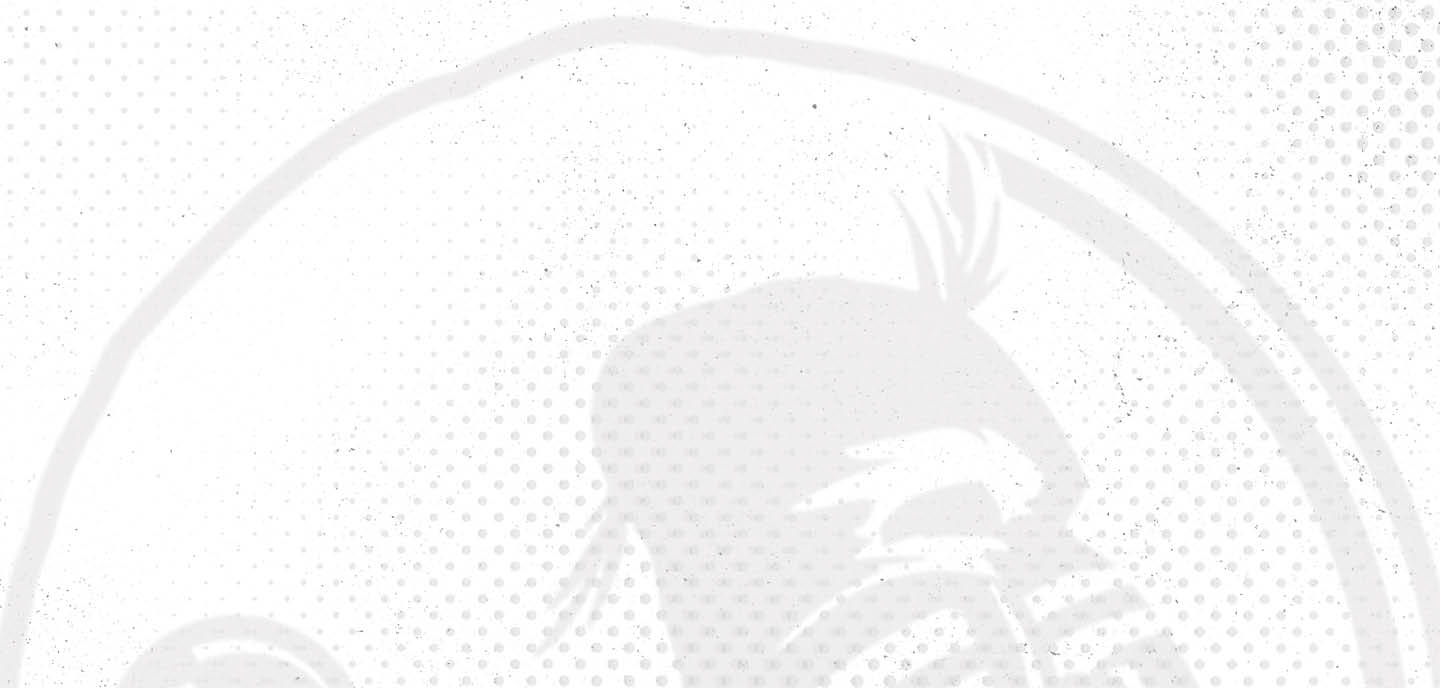 A logo for the Tampa Bay Buccaneers football team. AI generated content