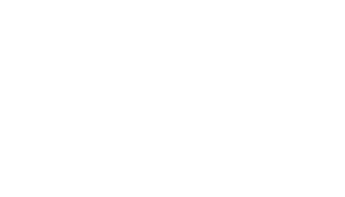 IND. FEVER #6 2018 MOST IMPROVED PLAYER (WNBA) WNBA ALL DEFENSIVE 1ST TEAM ‘18,’19 ALL WNBA 1ST TEAM ‘19 DEFENSIVE PL...