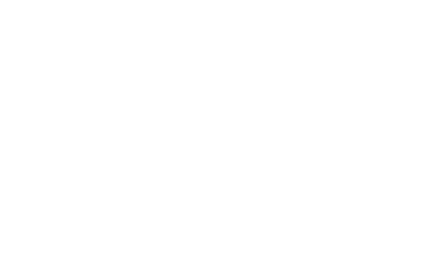 Founder & CEO — The Vision Box Former Professional Basketball Player (played overseas & in pro leagues) 31.8 % 3‑Poin...