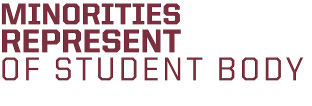 MINORITIES REPRESENT OF STUDENT BODY