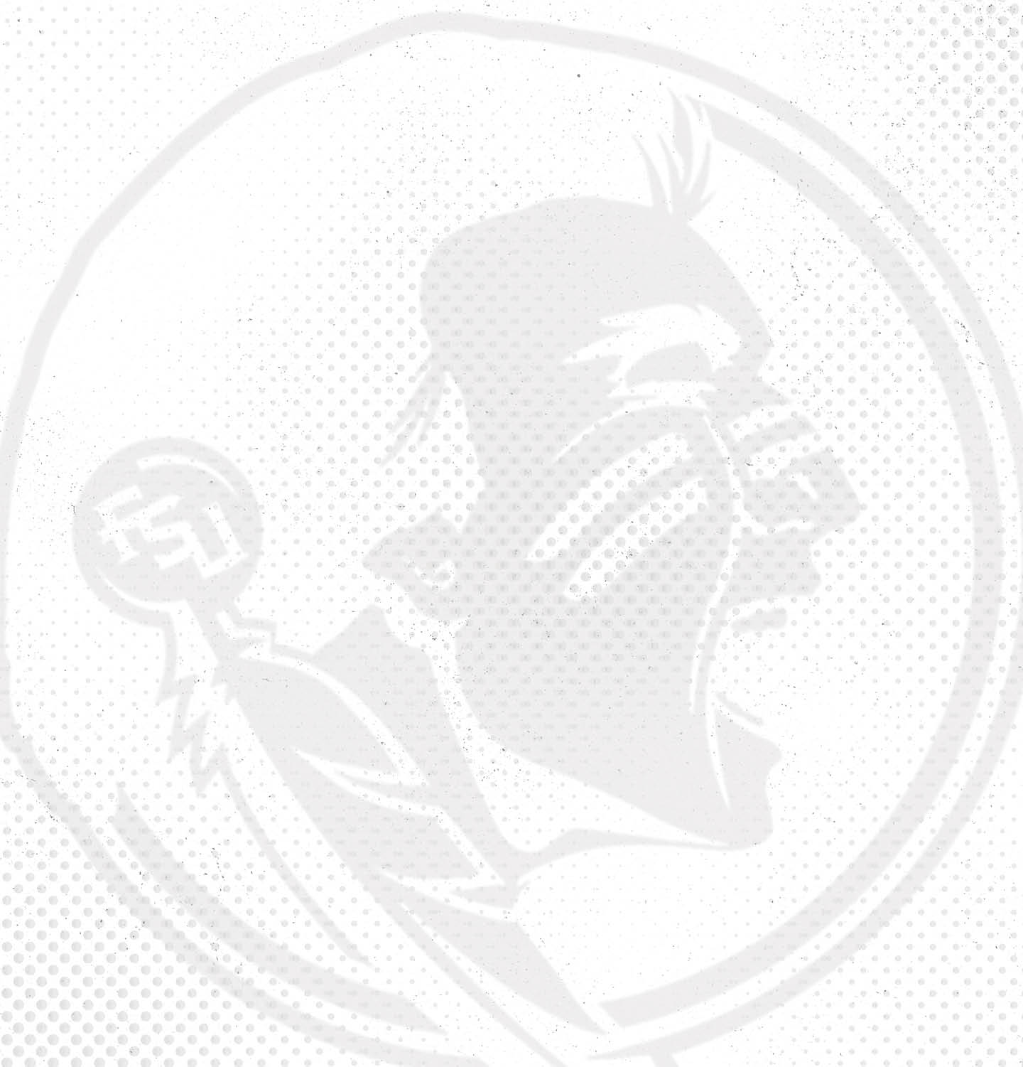 A logo for the Tampa Bay Buccaneers football team. AI generated content