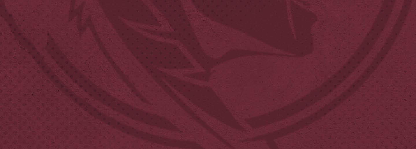 A logo for the Tampa Bay Buccaneers football team. AI generated content