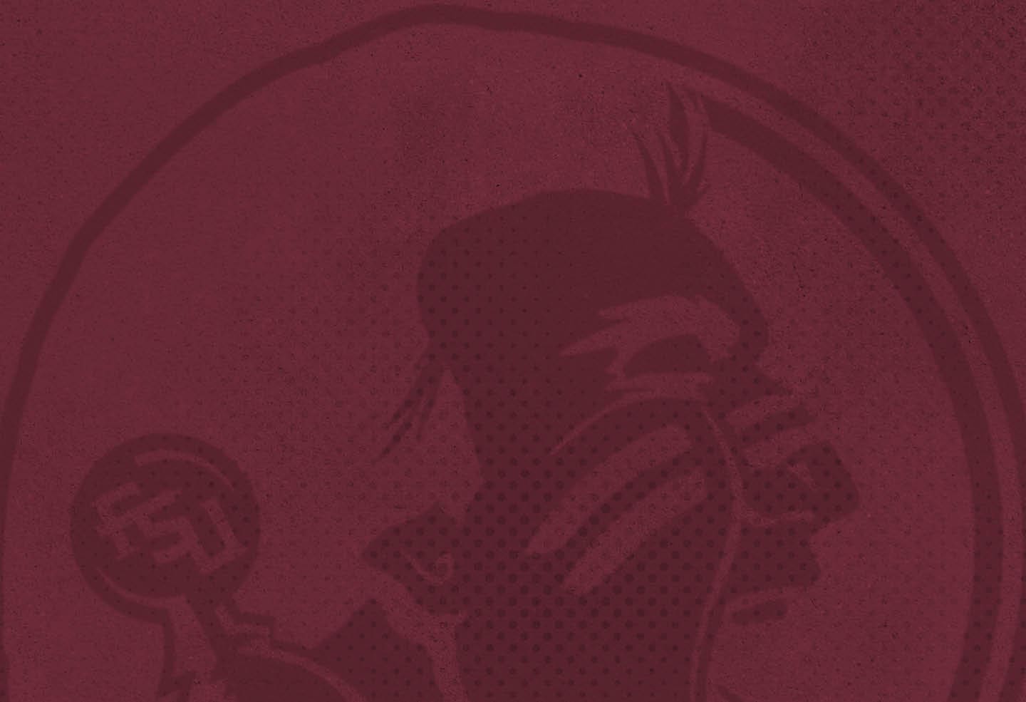 A logo for the Tampa Bay Buccaneers football team. AI generated content