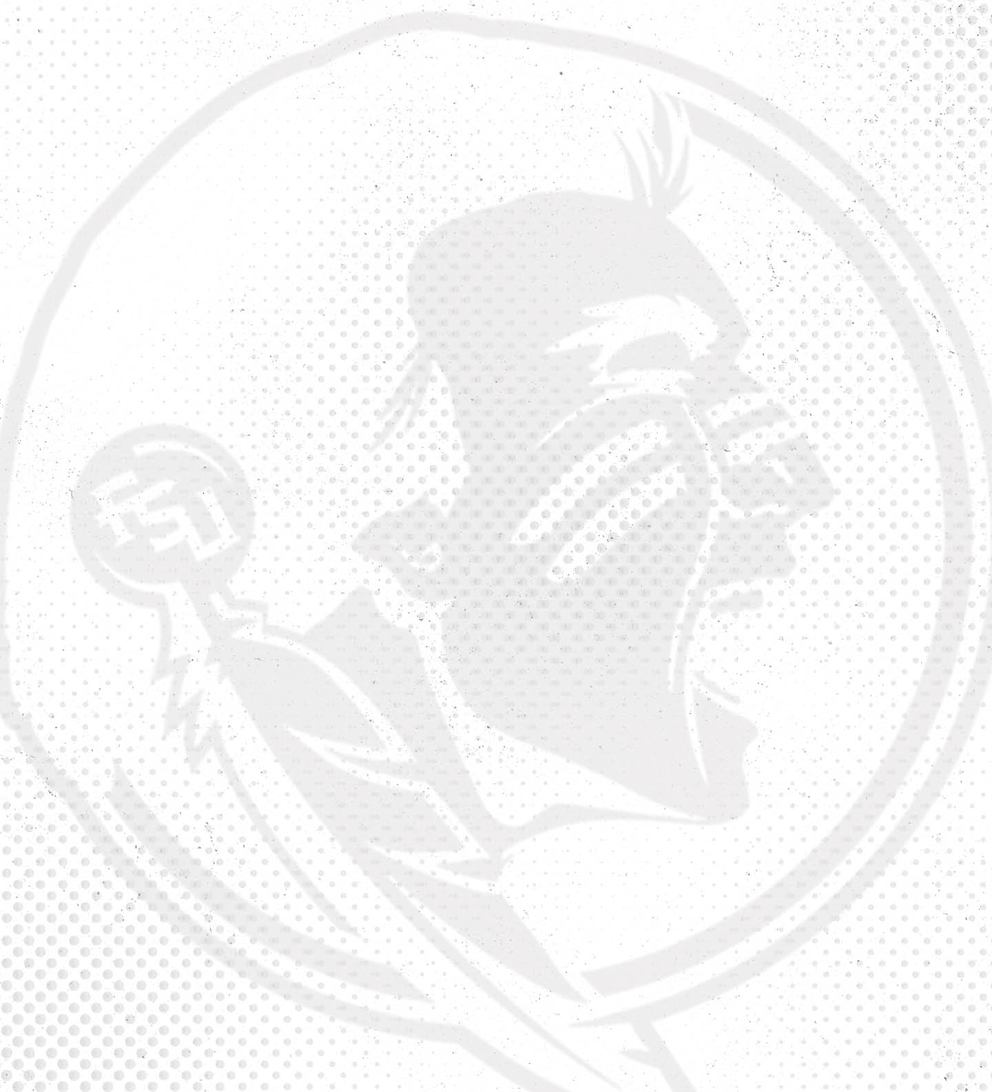 A white shield with a black outline. AI generated content