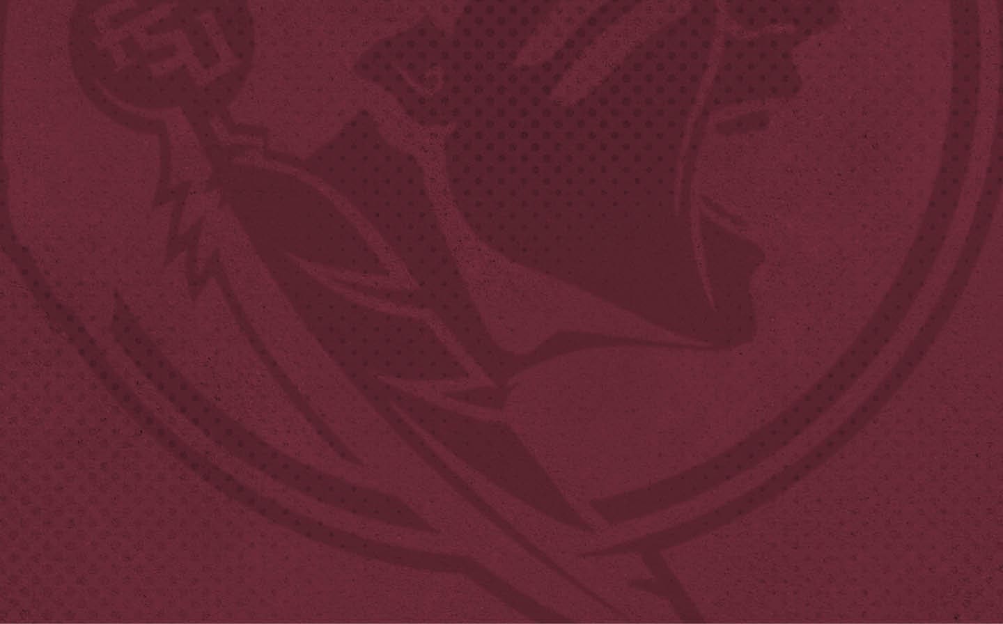 A logo for the Tampa Bay Buccaneers football team. AI generated content