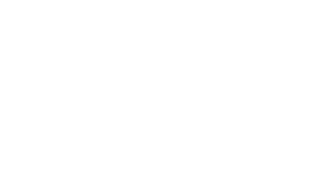 FSU WBB HEAD COACH 9 WNBA SEASONS, 242 GAMES PLAYED 1,350 career points AT FSU 3× All ACC & ACC All Freshman Team FSU...