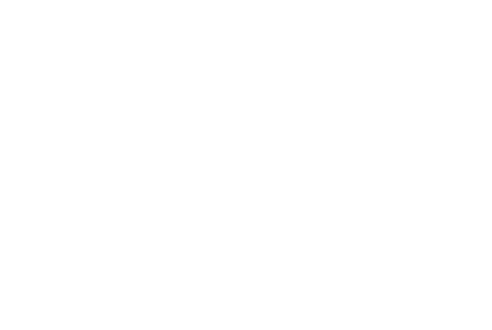 FOUNDER & CEO WECOACH Former Senior Associate Athletics Director & Senior Woman Administrator FSU Athletics 2015 Wome...