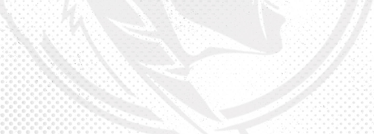 A logo for the Tampa Bay Buccaneers football team. AI generated content