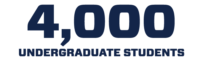 4,000 UNDERGRADUATE STUDENTS