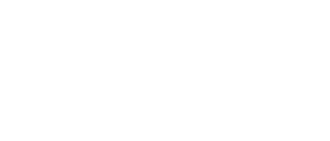 EFFORT