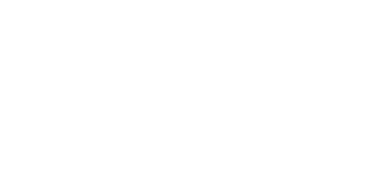 EFFORT