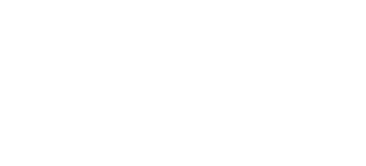MISSION
