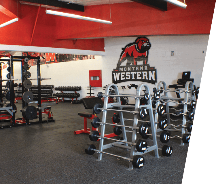 A gym with a variety of equipment including a bench, a weight rack, and a row of dumbbells. AI generated content