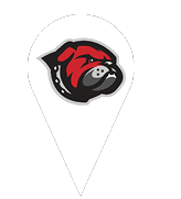 A dog is depicted on a pinpoint marker. AI generated content