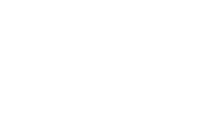 Excellence is our standard for completing any task or job in front of us. 