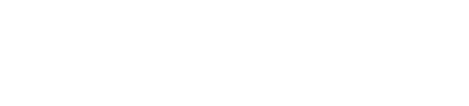 THE VILLE