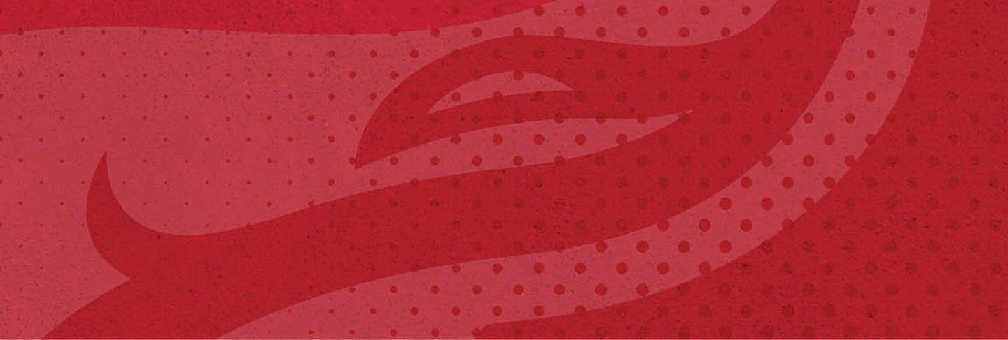 A red and white logo of a wolf with a red nose. AI generated content