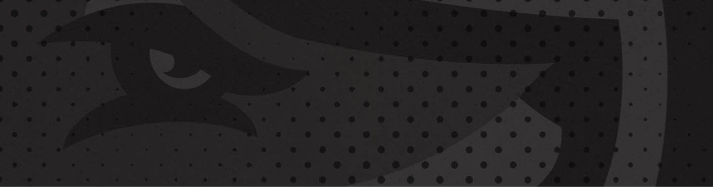 A black and white image of a wolf with a hat on its head. AI generated content