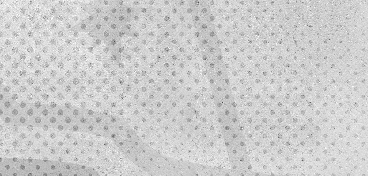 A grayscale image of a wolf's head with a black nose. AI generated content