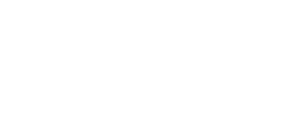 CONFERENCE TOURNAMENT APPEARANCES