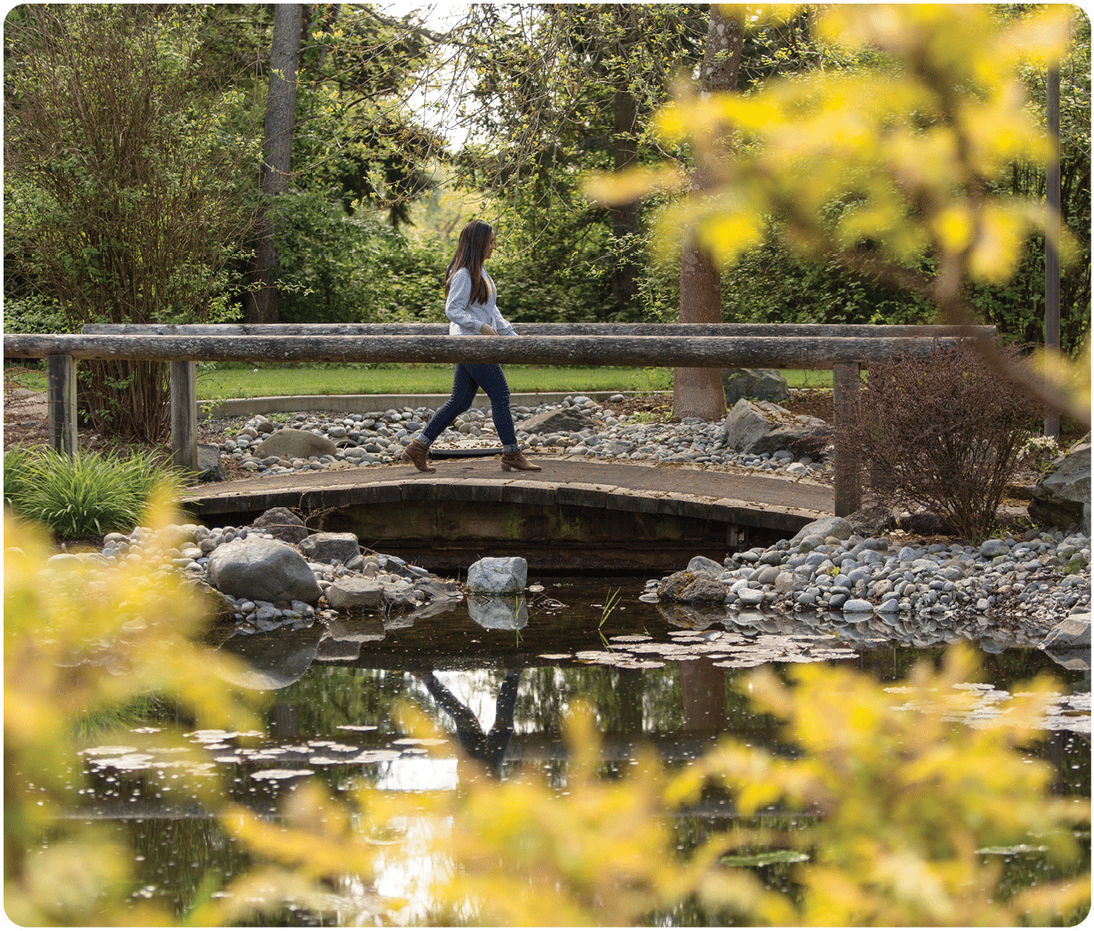 Bridge on lower campus at PLU on on Tuesday, April 26, 2016. (Photo: John Froschauer/PLU)