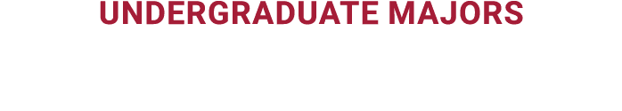 undergraduate majors