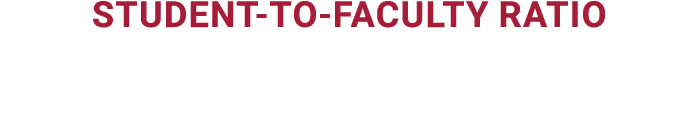 Student to Faculty Ratio