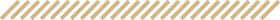 GraphicLine