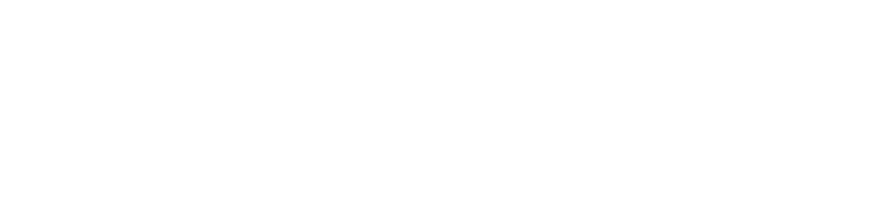 ELITE COACHING