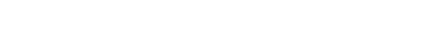 PROGRAM DIRECTOR