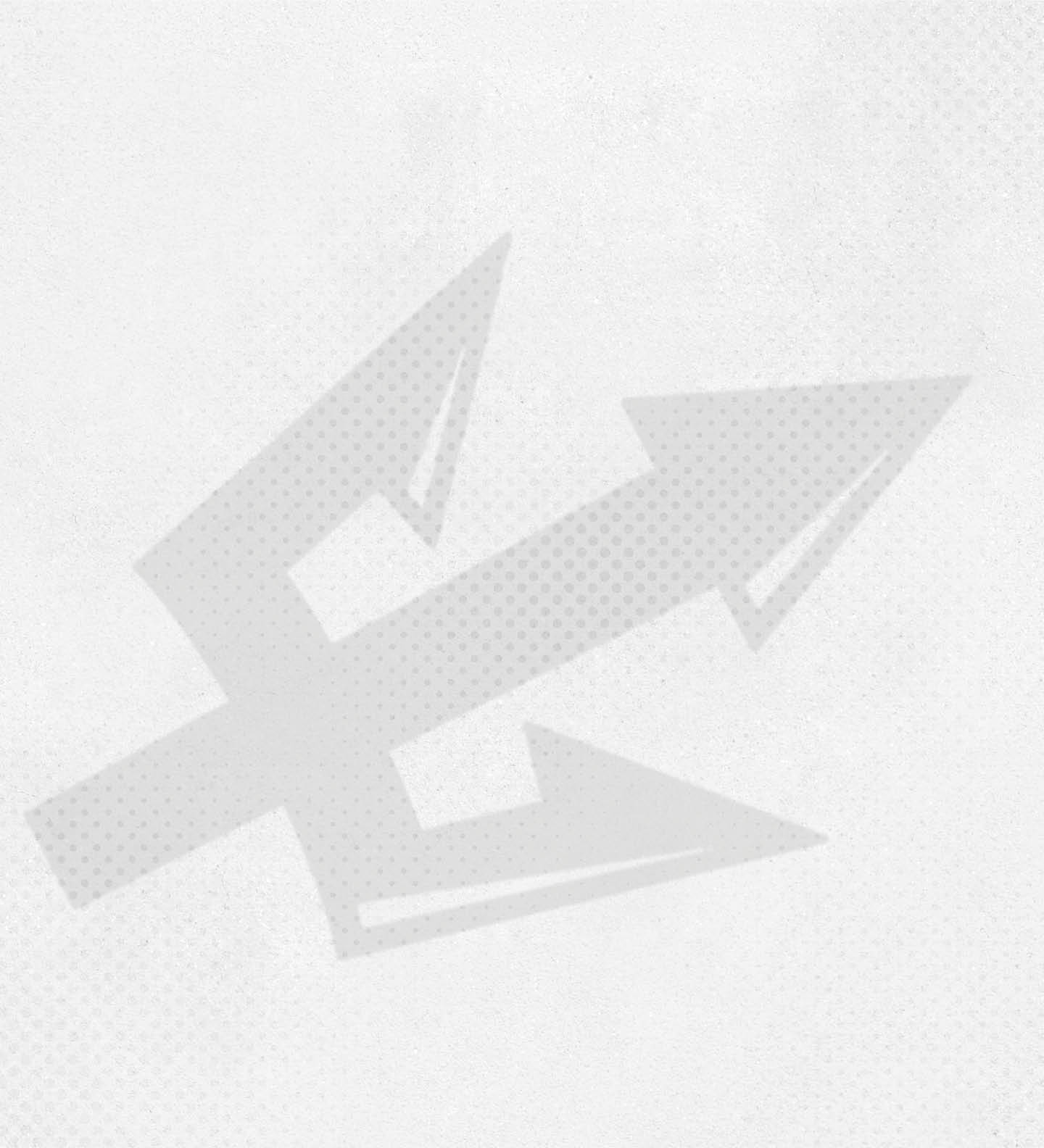 A white shield with a black outline. AI generated content