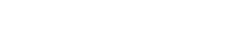 PROGRAM